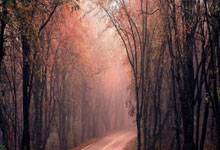 九游体育官网入口-霍芬海姆不敌对手，降级压力持续加大，霍芬海姆是哪个国家的球队