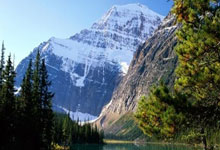 九游体育官方登录入口-德甲领头羊惊现绝杀，雄狮爆冷击败多特蒙德！，德甲冠军多特蒙德