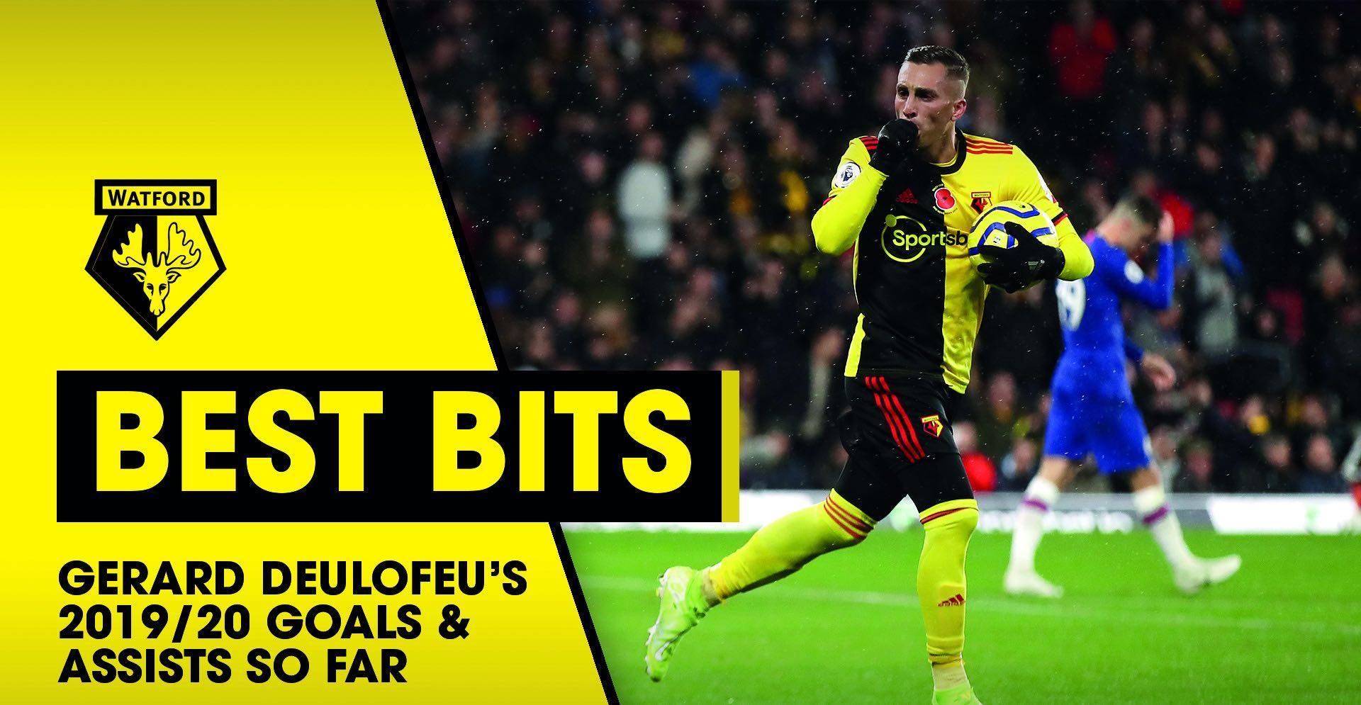 关于南安普顿战平沃特福德，积分榜第十二的信息