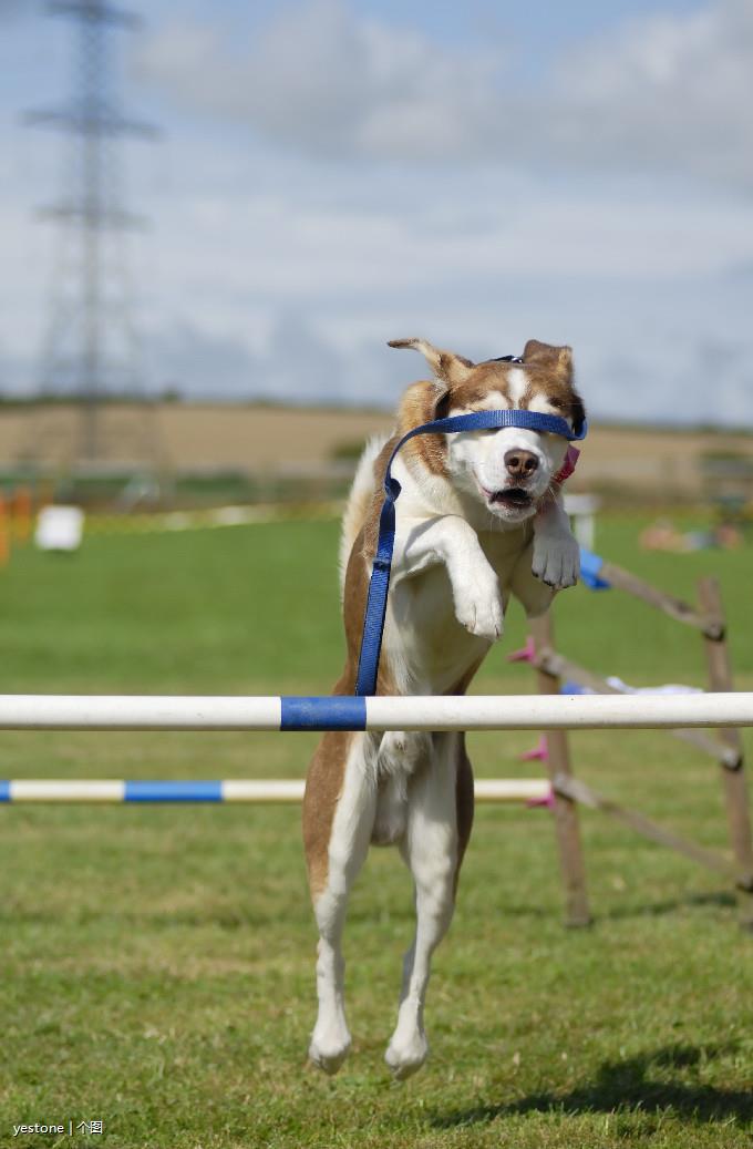 关于紧张欧洲足球大战，强者脱颖而出的信息