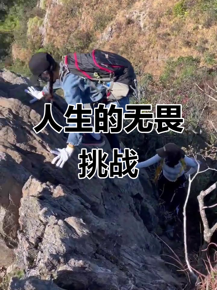 无惧艰难险阻，只为荣誉战斗的简单介绍